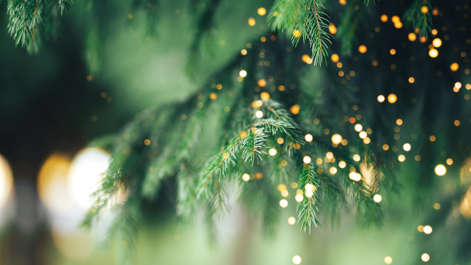 season-s-greetings-from-farrer-kane-co-farrer-kane